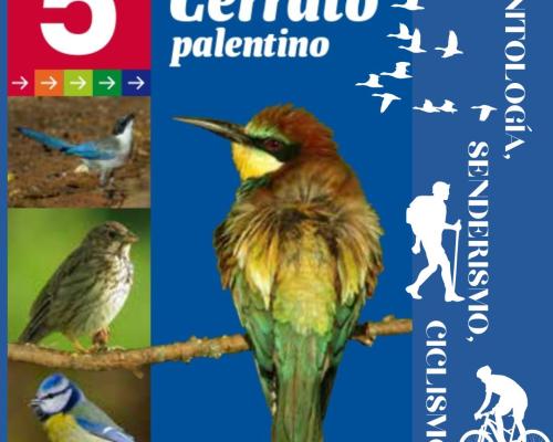 Rutas ornitológicas por el Cerrato Palentino
