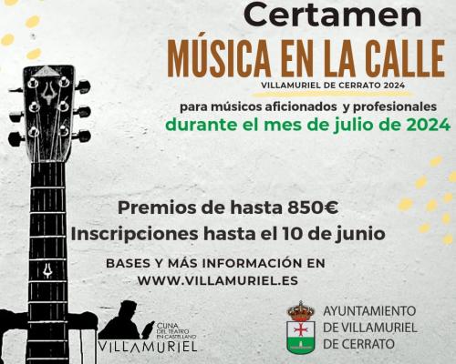 Imagen de Certamen Música de Calle - Villamuriel de Cerrato.
