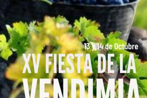 XV Fiesta de la Vendimia - Castrillo de Don Juan0