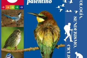 Rutas ornitológicas por el Cerrato Palentino0