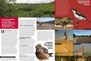 Rutas ornitológicas por el Cerrato Palentino1