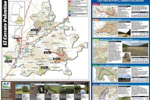 Rutas ornitológicas por el Cerrato Palentino2