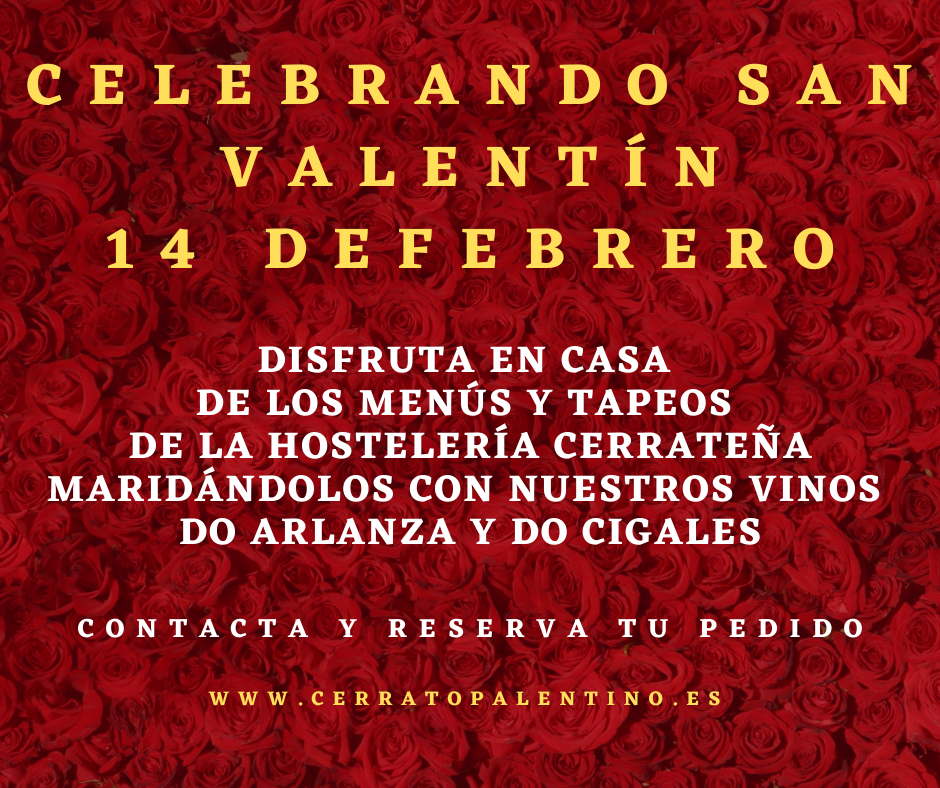 CELEBRANDO SAN VALENTÍN0