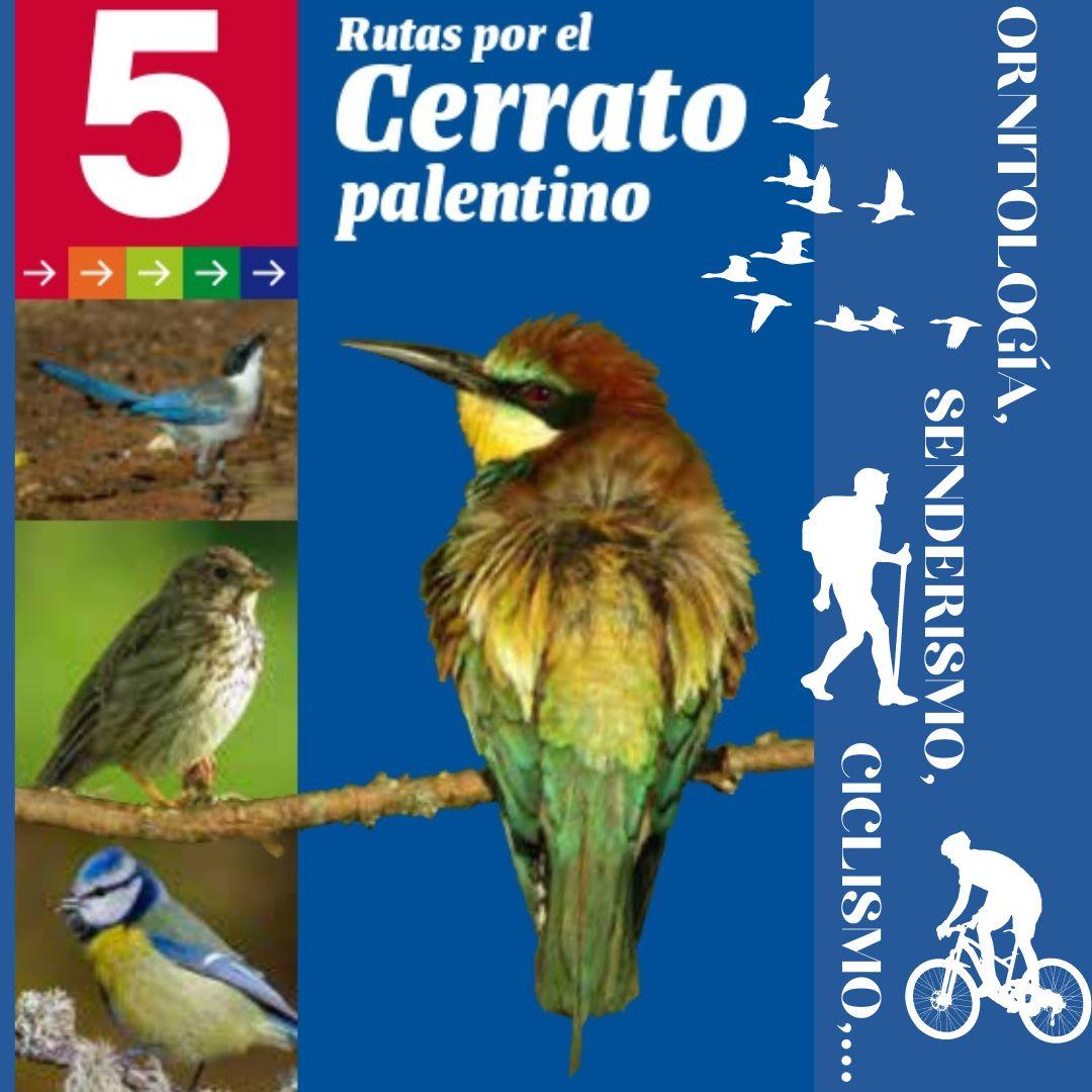 Rutas ornitológicas por el Cerrato Palentino0