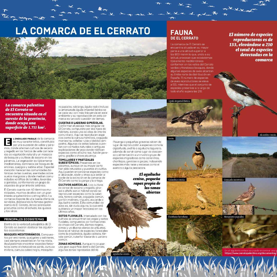 Rutas ornitológicas por el Cerrato Palentino1