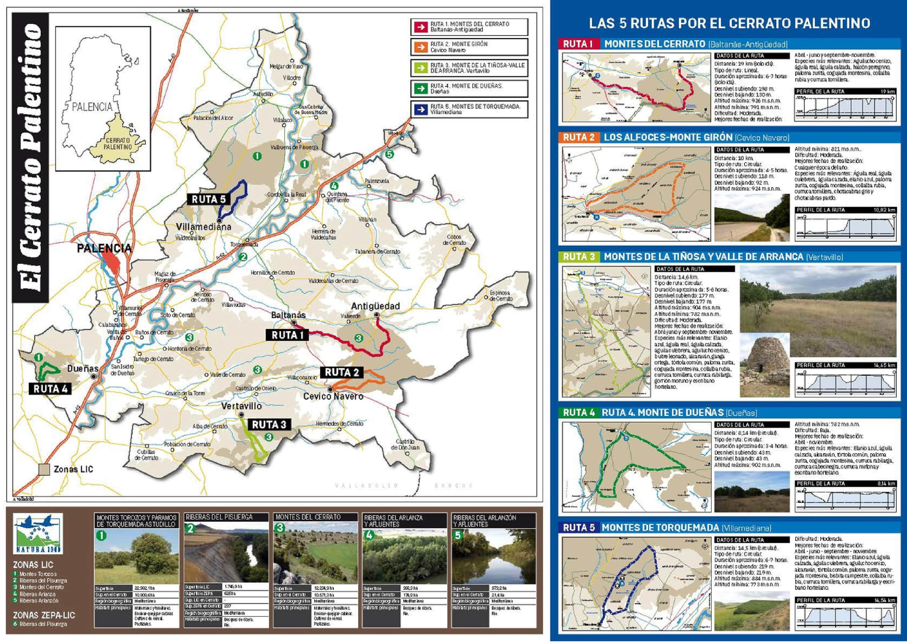 Rutas ornitológicas por el Cerrato Palentino2