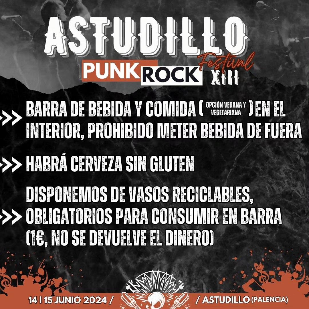 Astudillo Punk Rock4